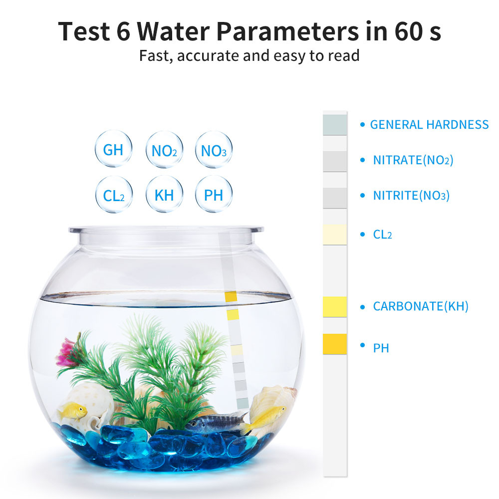 Bandelettes de Test de Qualité - Water Testing Kit avis et prix
